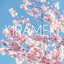 [{"id":1961,"spotify_artist_id":"43CwK7mj1NRZuXaC9SO6Zj","name":"Hikaru Station","popularity":53,"checked":0,"images":"a:3:{i:0;O:8:\"stdClass\":3:{s:6:\"height\";i:640;s:3:\"url\";s:64:\"https:\/\/i.scdn.co\/image\/ab6761610000e5ebdb123c33b2a2609330b63035\";s:5:\"width\";i:640;}i:1;O:8:\"stdClass\":3:{s:6:\"height\";i:320;s:3:\"url\";s:64:\"https:\/\/i.scdn.co\/image\/ab67616100005174db123c33b2a2609330b63035\";s:5:\"width\";i:320;}i:2;O:8:\"stdClass\":3:{s:6:\"height\";i:160;s:3:\"url\";s:64:\"https:\/\/i.scdn.co\/image\/ab6761610000f178db123c33b2a2609330b63035\";s:5:\"width\";i:160;}}","created_at":"2022-04-11T21:05:01.000000Z","updated_at":"2022-04-11T21:05:02.000000Z","pivot":{"track_id":2080,"artist_id":1961},"genres":[{"id":692,"name":"genshin","pivot":{"artist_id":1961,"genre_id":692}},{"id":87,"name":"otacore","pivot":{"artist_id":1961,"genre_id":87}}]},{"id":1962,"spotify_artist_id":"308qalztPNFIHU4UUJ2UHD","name":"Fireteamtorch","popularity":null,"checked":0,"images":null,"created_at":"2022-04-11T21:05:02.000000Z","updated_at":"2022-04-11T21:05:02.000000Z","pivot":{"track_id":2080,"artist_id":1962},"genres":[]}] - 