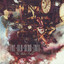 The Water Fields cover