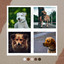 Backdrop for Sweet Pups - Inspired Trumpet, Electric Piano, Alto Sax and Soprano Sax cover