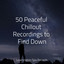 50 Peaceful Chillout Recordings to Find Down cover