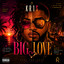 DJ KR1S - BIG LOVE