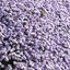 The Soothing Sounds of Brown Noise and Brown Noise Waves (Loopable Audio for Ambiance, Meditation, Insomnia and Restless Children) cover