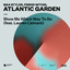 Show Me Which Way To Go (feat. Lauren L'aimant) - Extended Mix