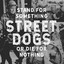Stand For Something Or Die For Nothing cover