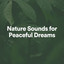 Nature Sounds for Peaceful Dreams cover