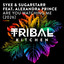 Are You Watching Me feat. Alexandra Prince - Ibiza26 Club Dub