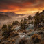 Journey On - Juniper Three