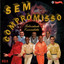 Felicidade Escondida cover