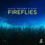 Fireflies - Extended Mix