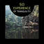 50 Experience of Tranquility – Deep State of Relaxation, Health and Well-Being, Beauty of Nature Sounds in Spa, Anxiety Free, Combat Insomnia with Yoga Nidra, Meditation cover