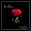 The Rose
