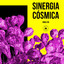 Sinergia Cósmica