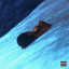 Searching cover