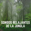 Sonidos Relajantes de la Jungla cover