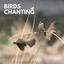 Birds Chanting cover