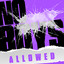 No Boys Allowed cover