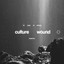 We Came As Romans, Ladrones - culture wound o