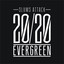 20/20 Evergreen cover