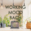 Working Mood - Bach cover
