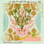 Domitila cover