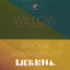 Willow - Birch Community Mix