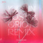 Your love (Jordin Post & Qrion Remix) Qrion