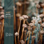 Ancient Manifold - Clarence Rise Remix
