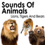 Lion Roars in the Distance cover