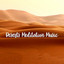 Dreams in the Oasis Relaxation Music cover
