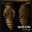 Smash Atoms - Into The Light