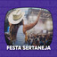 Festa Sertaneja (Ao Vivo) cover