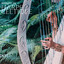 Musique de harpe celtique : Méditation celtique, Spa celtique, Sons de la nature, Rêves celtiques, Noël celtique, Chillout celtique cover