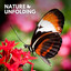 Nature Unfolding cover