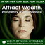 Prosperity & Financial Success Light of Mind Guided Meditation RelaxationSleep Programming cover