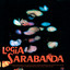 Cajón de castañas cover