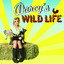 Darcy's Wild Life cover