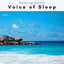 A Voice of Sleep cover
