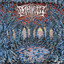 Denial of Clarity cover