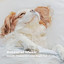 Binaural Music: Gentle Tones to Calm Dogs Vol. 1 cover