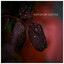 Gotas de Lluvia cover