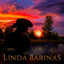 Christóbal Jiménez - Linda Barinas
