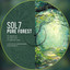 Pure Forest - Pinkowitz Remix