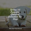 Spring 50 Loopable Classical Collection For Dogs cover