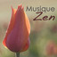 Erotica (musique sensuelle) cover