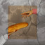 Unknown Title cover