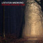 Levitation Mindworks profile