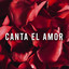 Canta el amor cover