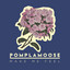 Make Me Feel - Pomplamoose