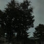 Album cover of i wonder if you still think of me because you're kinda all i think about by emoflytrap, Seejayxo