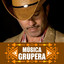 Música grupera cover